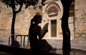 Planète - Juillet 2025 sur le podium des mois de juillet les plus chauds sur la planète