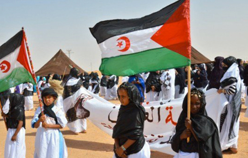 Une ONG dénonce les projets d'hydrogène vert du Maroc au Sahara occidental occupé