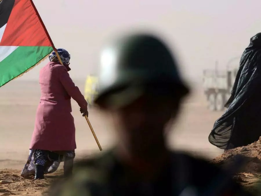 النظام المغربي يستخدم أربع أدوات