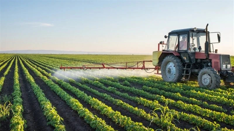 وهران : فتح شباك موحد لمرافقة الفلاحين للحصول على قروض 