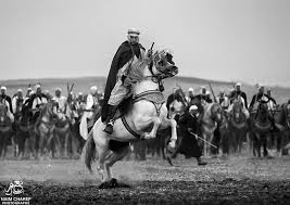 Algérie (Tiaret) -  Le salon national du cheval de retour: du 11 au 13 Septembre prochain