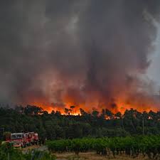 Planète (France/Europe) - Incendie meurtrier dans l'Aude: l'arrachage des vignes est-il responsable de la progression fulgurante des flammes ?