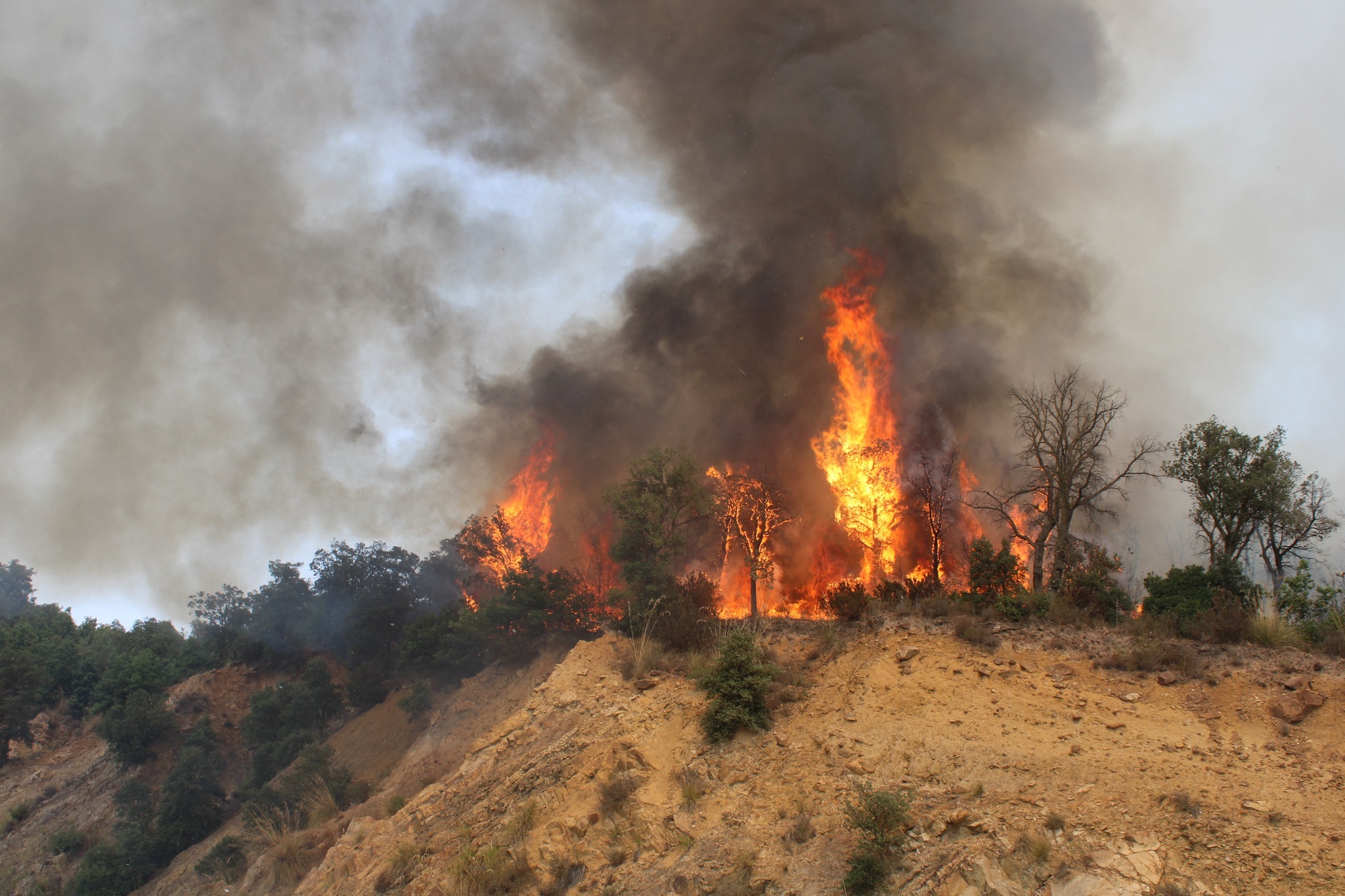 الجيش الوطني يساهم في إخماد النيران