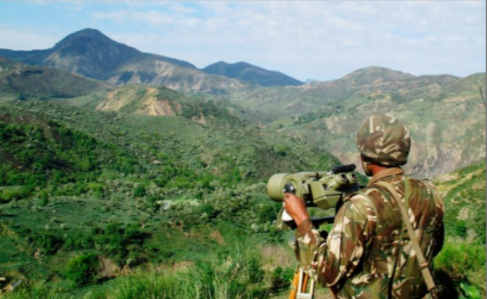 31 narcotrafiquants arrêtés et 166 kg de cannabis saisis