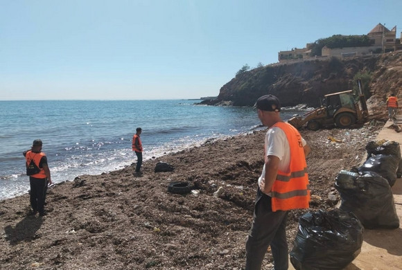 Oran : des tonnes d'algues récoltées sur les plages