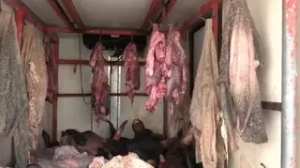 حوادث الطرقات: وفاة 38 شخصا وجرح 558 آخرين خلال أسبوع بالمناطق الحضرية