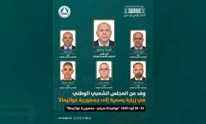 APN-PARLACEN: examen des moyens de renforcement de la coopération et de l'échange d'expertises