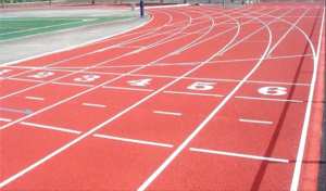 Cinq records détenus par des Algériens