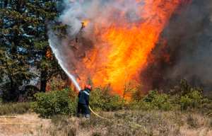 Plus de 100 pompiers, hélicoptère et avion mobilisés pour lutter contre le feu