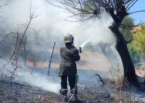 إخماد الحريق الغابي ببجاية وتواصل عمليات الحراسة والوقاية