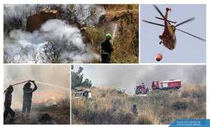 مكافحة حرائق الغابات.. نجاح مميّز