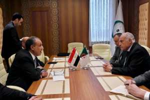 عطّاف يلتقي نظيره المصري