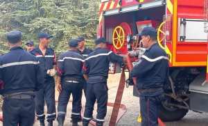 Blida: l'incendie de Chréa totalement maitrisé
