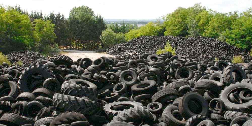 Algérie (Blida) - Espaces forestiers: Près de 2.000 pneus usagés récupérés