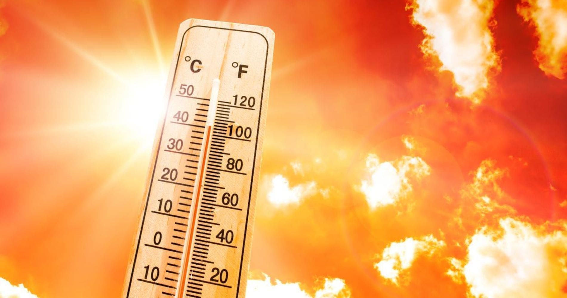 موجة الحر الشديدة في الجزائر: التأثيرات والاستجابات