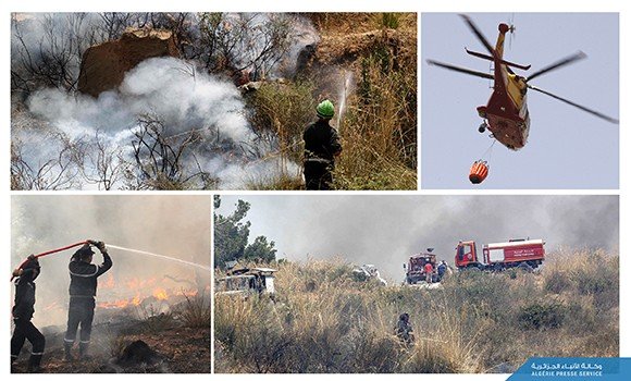 مكافحة حرائق الغابات: نجاح مميز وتراجع معتبر في المساحات المتضررة
