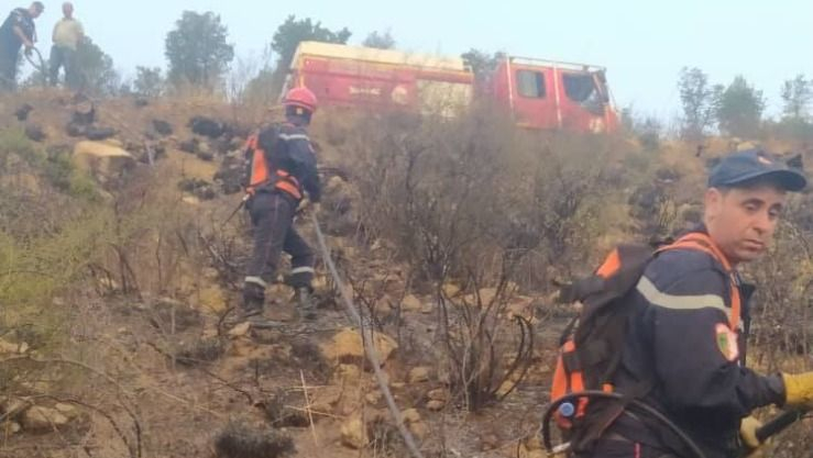 وزارة الداخلية.. السيطرة الكاملة على حريق غابة 