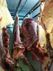 حوادث الطرقات: وفاة 45 شخصا وإصابة 2258 آخرين خلال أسبوع