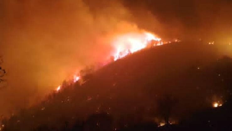 الحماية المدنية.. إجلاء وإبعاد عدة عائلات بسبب حرائق غابات في جبال الشريعة