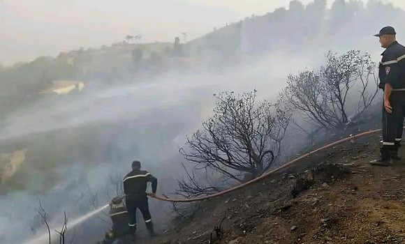 Algérie (Chréa/Blida) -  la PC poursuit ses efforts pour éteindre l’incendie de la forêt de Chréa