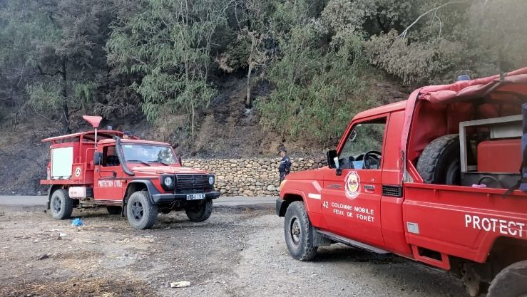 الحماية المدنية: إخماد 27 حريق غابات