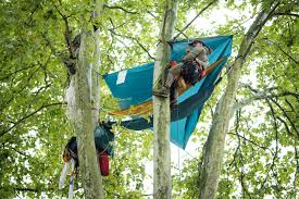 Planète (France/Europe) - Reportage — A69 «Il y avait urgence, on a foncé»: les opposants à l’A69 de retour dans les platanes