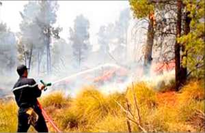 Un autre incendie menace les habitants de Chréa