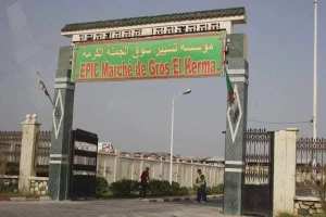 سوق الكرمة للخضر والفواكه..... بوابة جديدة لتصدير المنتجات الفلاحية وخطوات إستراتيجية لتنويع نشاطاته