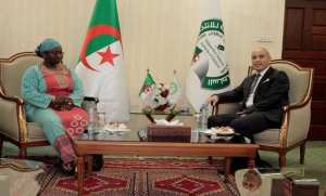 ANIE: Khalfan reçoit la Cheffe de l'unité Démocratie et Elections auprès de la Commission de l'UA