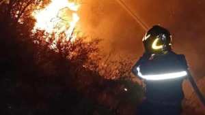 الحماية المدنية: تسجيل 48 حريقا للغطاء النباتي  عبر 14 ولاية