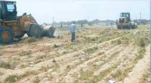 لتمكين الجادّين فقط من الاستثمار فيها بالنعامة ...استرجاع 1200 هكتار من الأراضي الفلاحية غير المستغلة