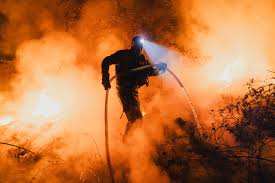 Planète - Catastrophes climatiques: les images d’un été meurtrier
