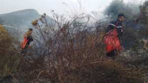 الحماية المدنية: إخماد 33 حريقًا