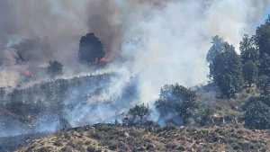 تسجيل 17 حريقا عبر الوطن خلال 24 ساعة