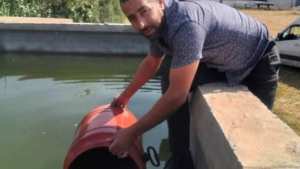 إستزراع أزيد من 4000 وحدة من صغار سمك البلطي ببومرداس