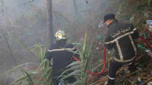 إخماد 7 حرائق عبر 6 ولايات