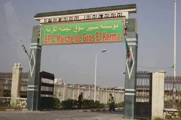 سوق الكرمة للخضر والفواكه..... بوابة جديدة لتصدير المنتجات الفلاحية وخطوات إستراتيجية لتنويع نشاطاته