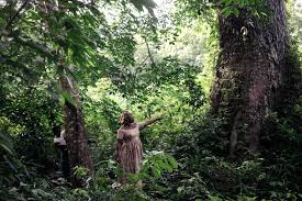 Planète ( frontière ivoiro-libérienne/Afrique) - Les gardiennes de Taï-Grebo: ces femmes qui défendent la forêt