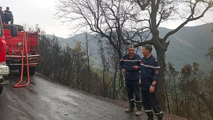 البليدة: إخماد حريق الشريعة