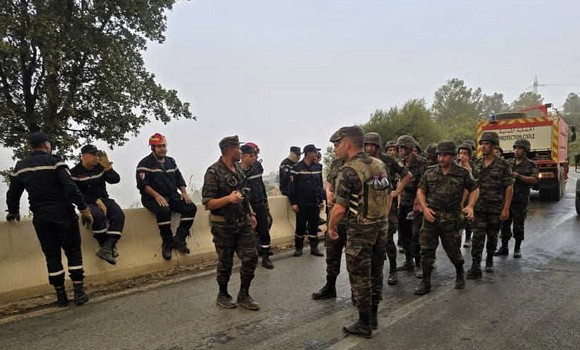 Blida: extinction de l'incendie de Chréa