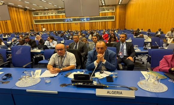 الجزائر تشارك بفيينا في عدة اجتماعات أممية تتعلق بمكافحة الفساد واسترداد الموجودات