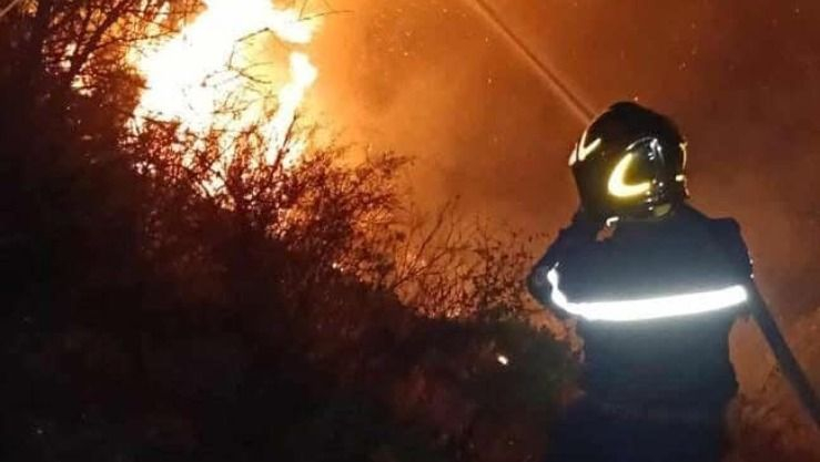 الحماية المدنية: تسجيل 48 حريقا للغطاء النباتي  عبر 14 ولاية