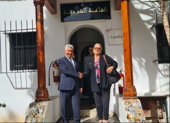 M. Zaalani reçoit la Coordonnatrice résidente des Nations unies en Algérie