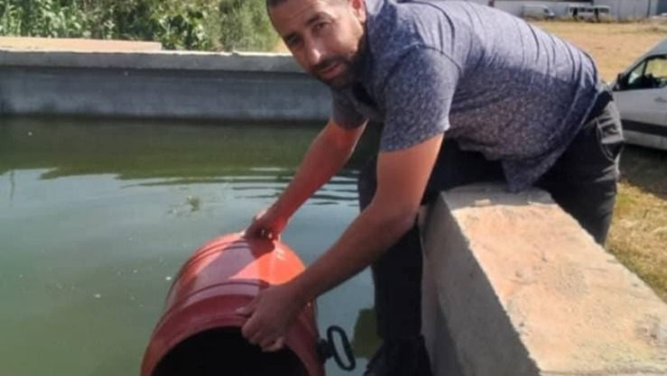 إستزراع أزيد من 4000 وحدة من صغار سمك البلطي ببومرداس