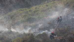 تسجيل 28 حريقًا للغطاء النباتي عبر 8 ولايات