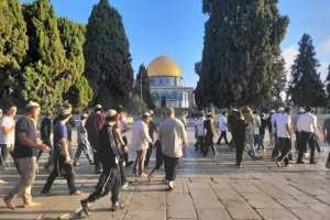 مستوطنون يقتحمون الأقصى