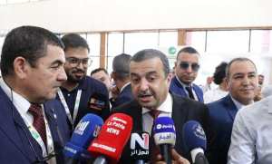 التجارة البينية الإفريقية: عرقاب يؤكد دور مؤسسات قطاع الطاقة والمناجم في حركية التعاون مع دول القارة