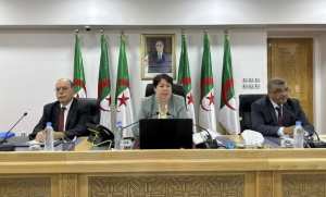 Mines: réunion de travail sur le projet d'exploitation du gisement de zinc et de plomb de Tala Hamza-Oued Amizour à Bejaïa