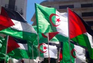 Des ONG dénoncent la désinformation à propos de la position de l'Algérie envers la cause palestinienne