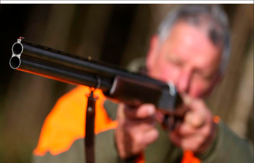 « Le pouvoir est au bout du fusil »